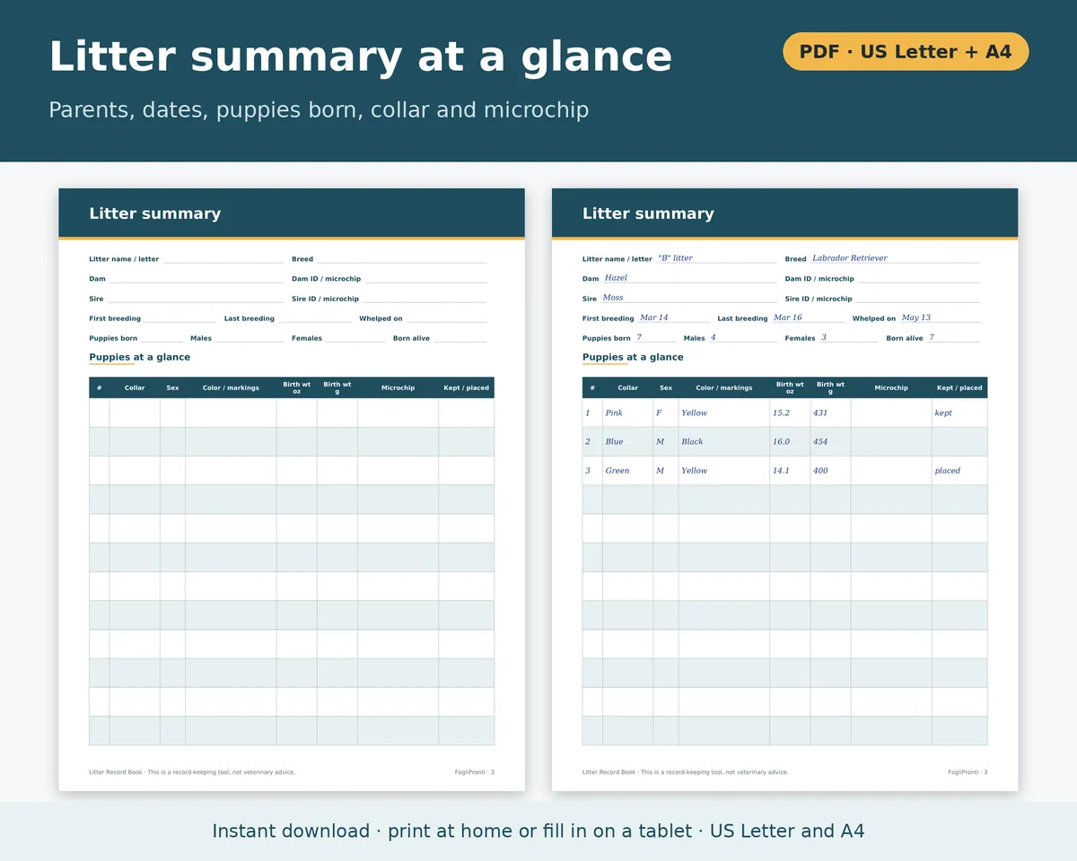 Litter Record Template Printable, image 3