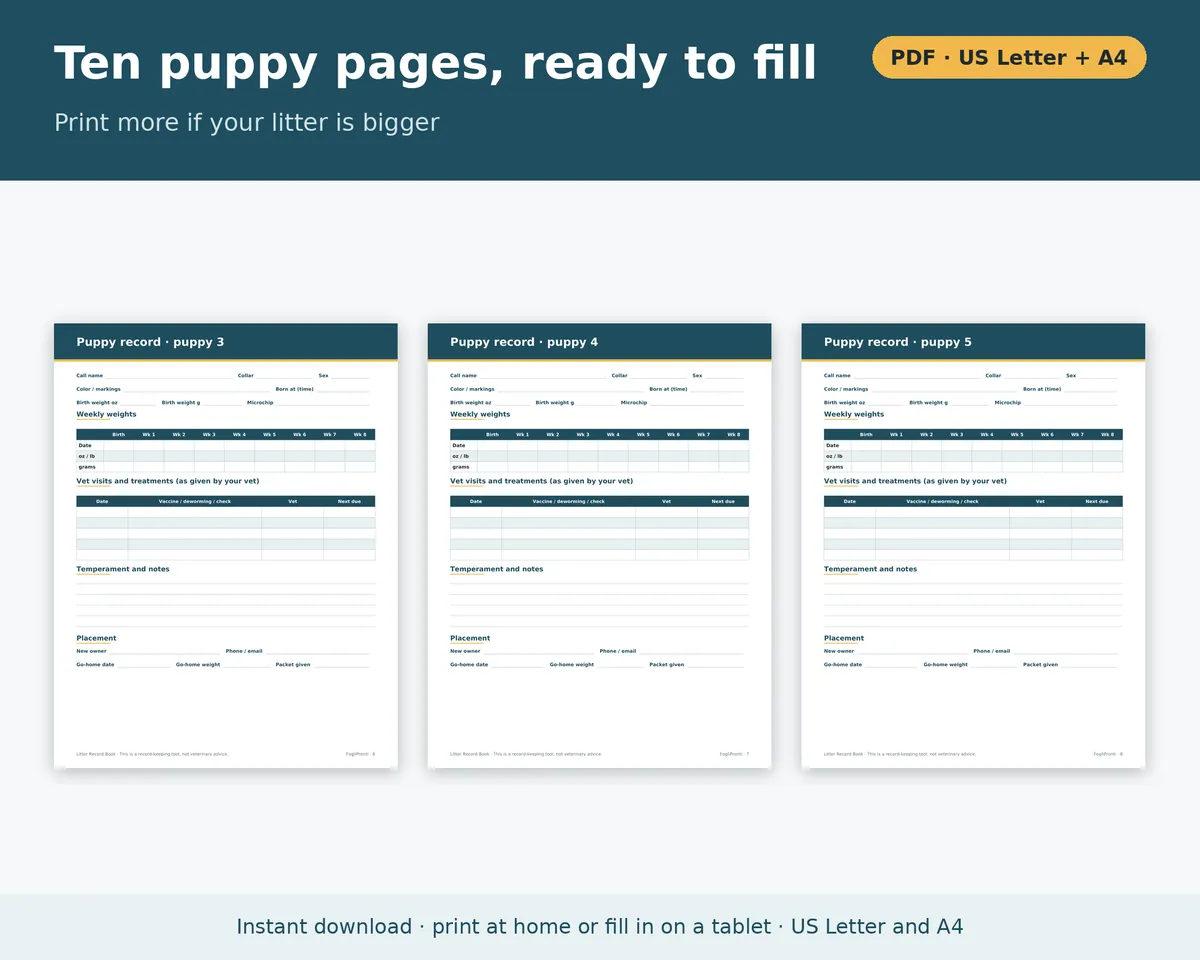 Litter Record Template Printable, image 5
