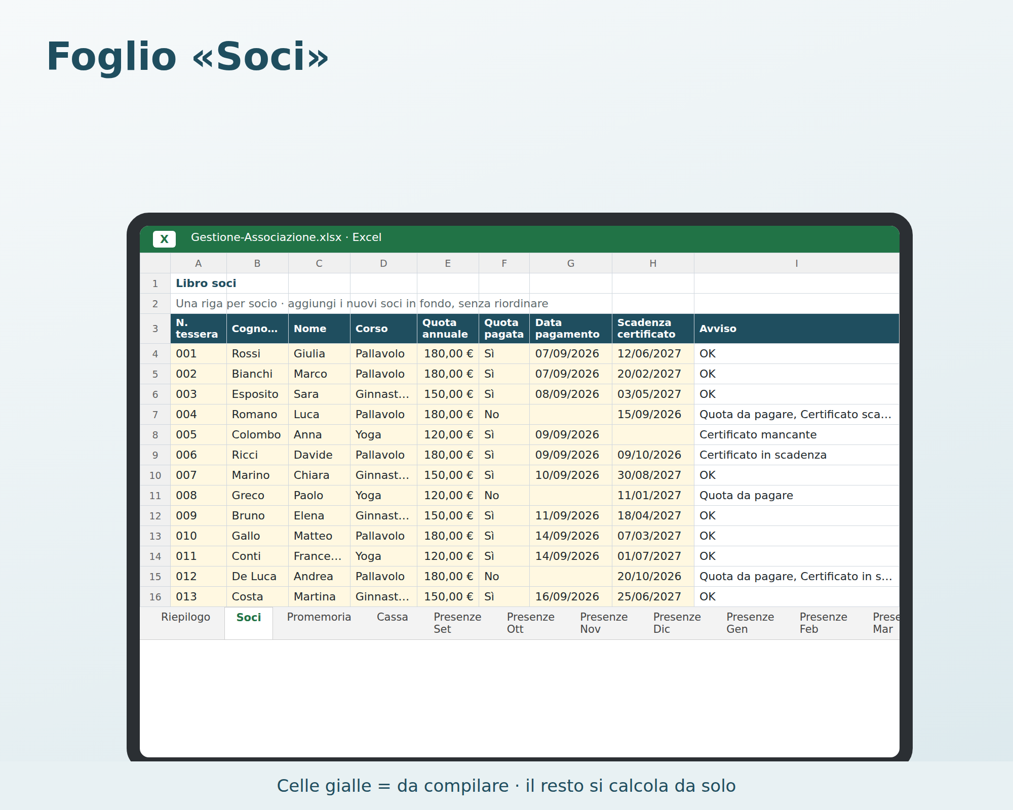 Cosa contiene Gestione Associazione