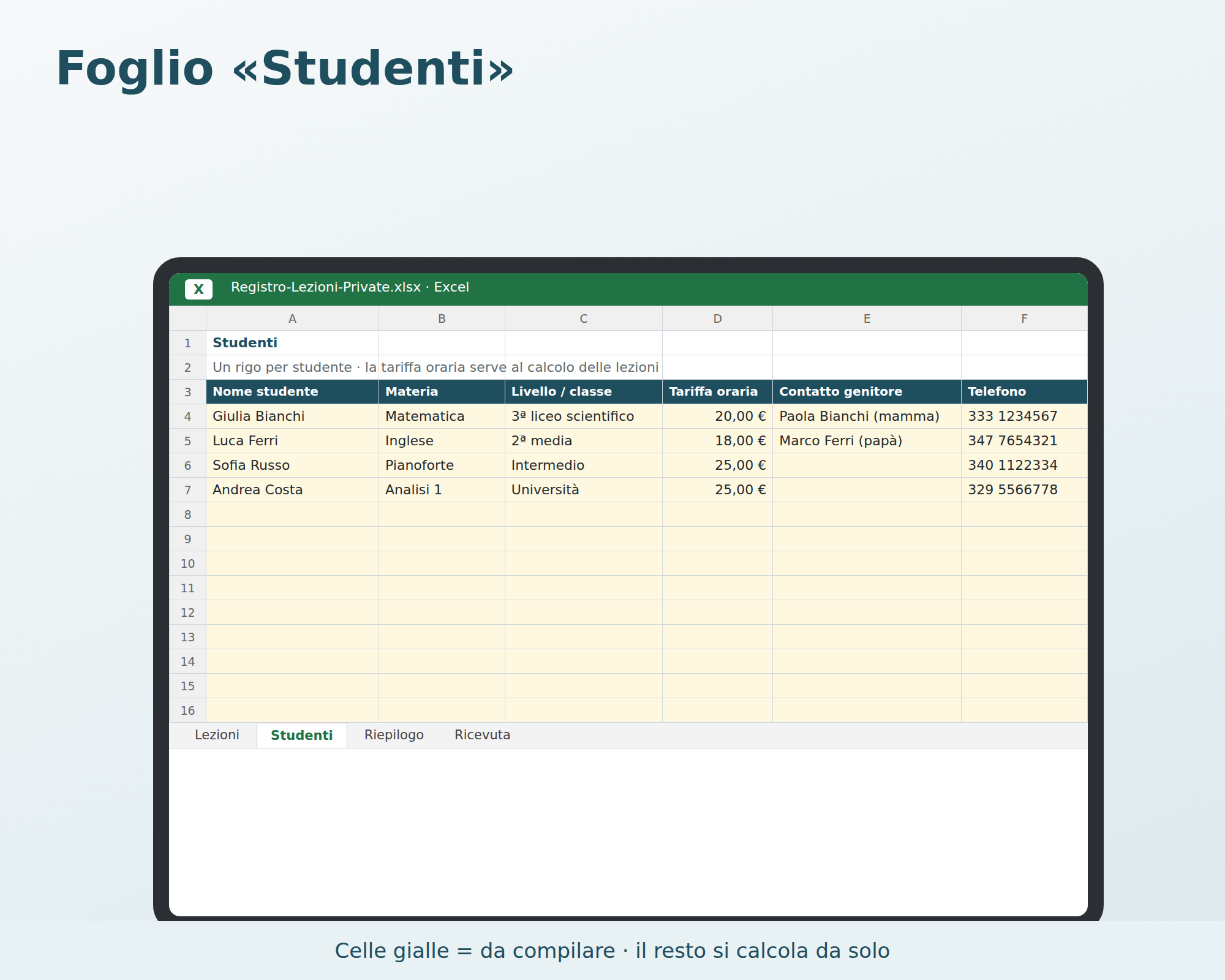 Cosa contiene Registro Lezioni Private